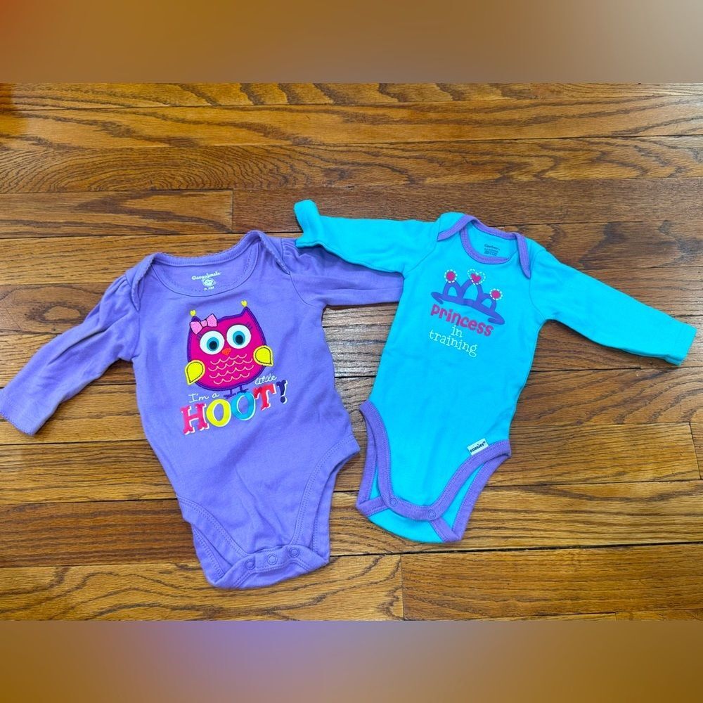 Long sleeve baby girl onesies size 0-3 months Purple and Blue Owl and Princess